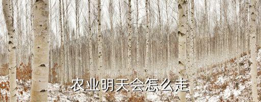 农业明天会怎么走
