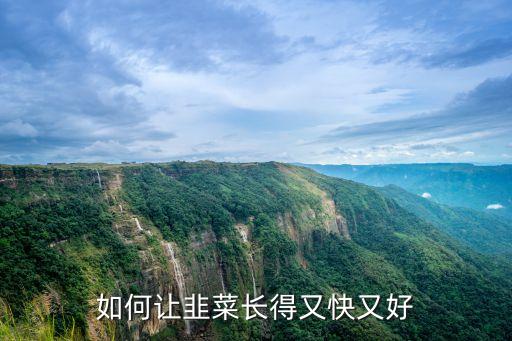 如何让韭菜长得又快又好
