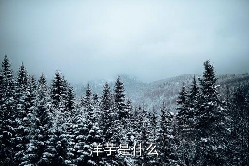 洋芋是什么东西，洋芋是什么东西