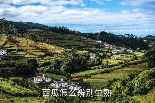 西瓜怎么辨别生熟