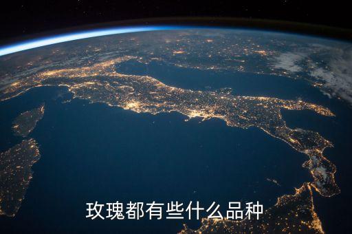 玫瑰都有些什么品种