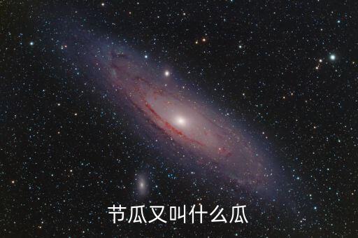 节瓜又叫什么瓜，胜瓜节瓜凉瓜还有什么叫法