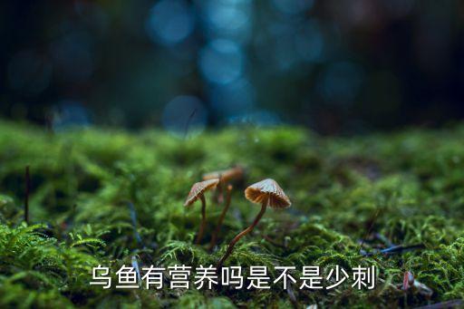 乌鱼有营养吗是不是少刺