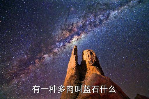 蓝石莲多肉，蓝石莲四季该怎样浇水要浇透吗要怎么保养水浇到叶子上了有关