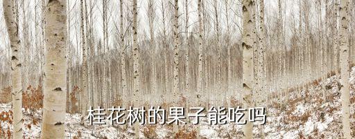 桂花树果子能吃吗，桂花树的果子能吃吗