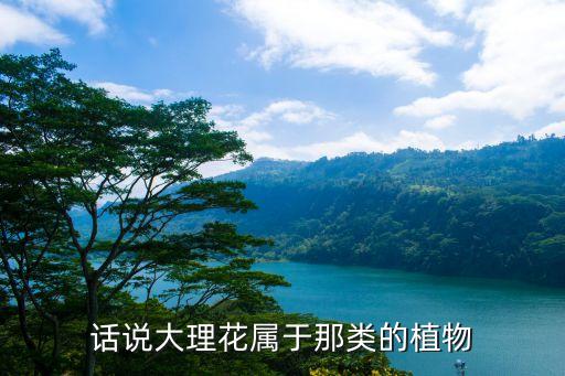 话说大理花属于那类的植物