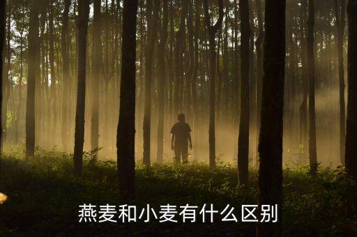 燕麦是小麦吗，燕麦和普通的小麦属于同一物种吗