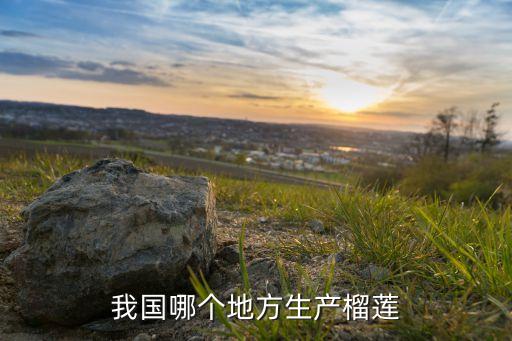 我国哪个地方生产榴莲