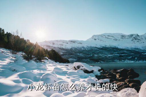 小龙虾苗怎么养才长的快