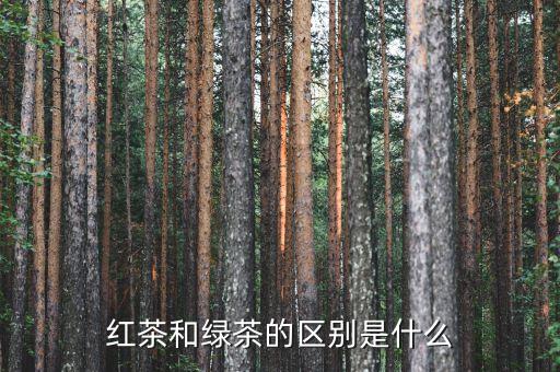 红茶和绿茶的区别是什么