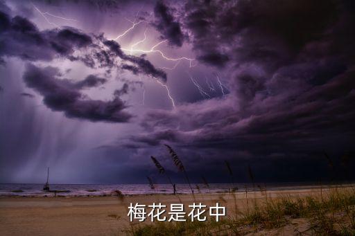 梅花是花中