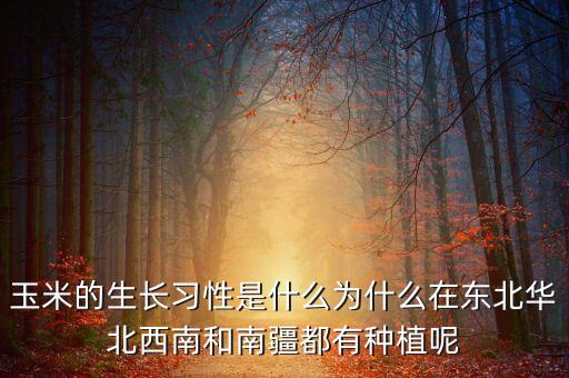 玉米的生长习性是什么为什么在东北华北西南和南疆都有种植呢