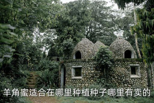 羊角蜜适合在哪里种植种子哪里有卖的