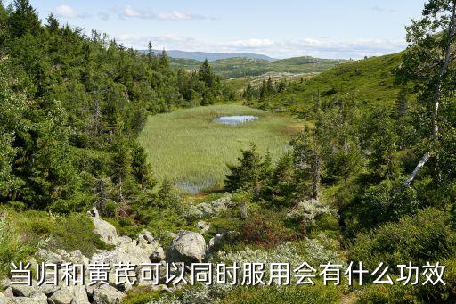 当归和黄芪可以同时服用会有什么功效