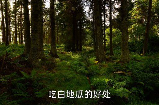 白地瓜，白地瓜的营养价值 对人体有哪些好处