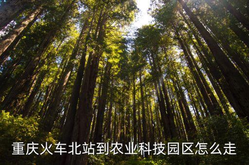 重庆火车北站到农业科技园区怎么走
