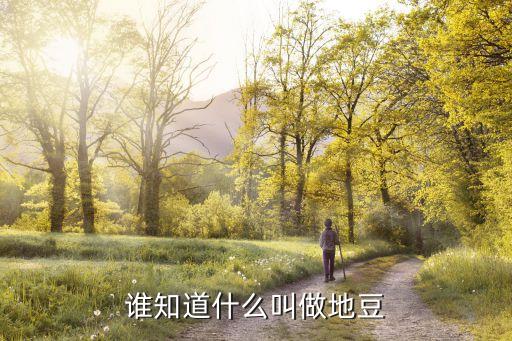 谁知道什么叫做地豆