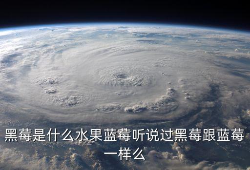 黑莓是什么水果蓝莓听说过黑莓跟蓝莓一样么