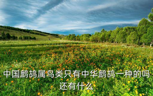 中国鹧鸪属鸟类只有中华鹧鸪一种的吗还有什么