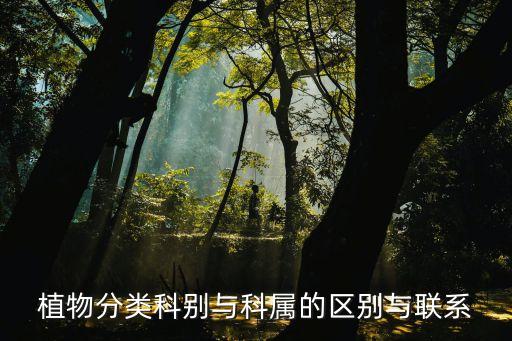 植物分类科别与科属的区别与联系