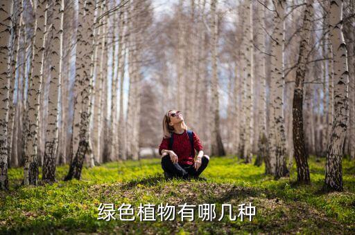 绿色种类，绿色植物有哪几种