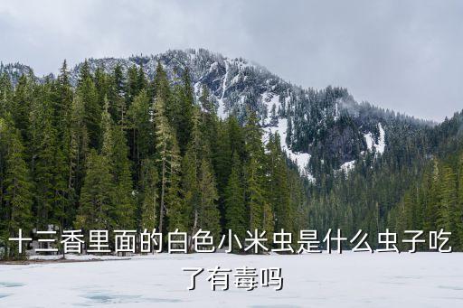 十三香里面的白色小米虫是什么虫子吃了有毒吗