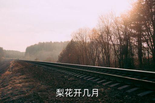 梨花开几月