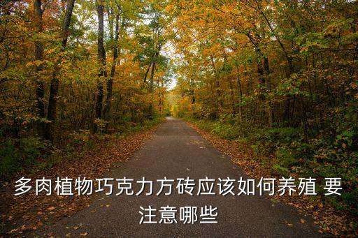 多肉植物巧克力方砖应该如何养殖 要注意哪些