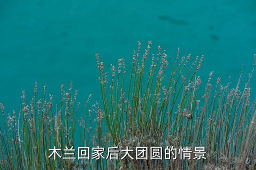春兰大团圆，谁知道大团圆香烟多少钱一条