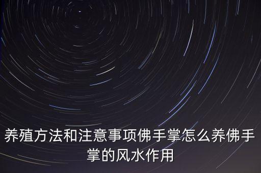 养殖方法和注意事项佛手掌怎么养佛手掌的风水作用