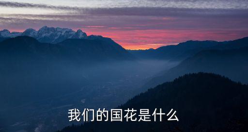 中国的国花，中国的国花是什么是不是还没有要最新答案