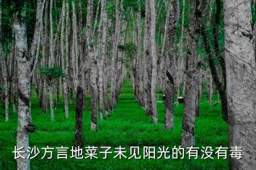 地菜子，长沙方言地菜子未见阳光的有没有毒