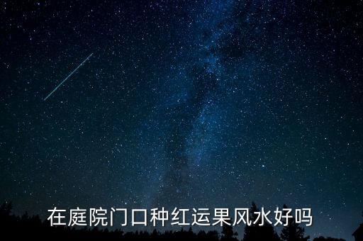 鸿运果，下面这红色的果子叫什么