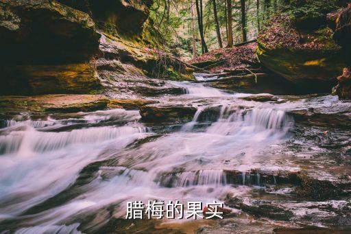 腊梅的果实