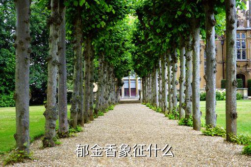 郁金香象征什么