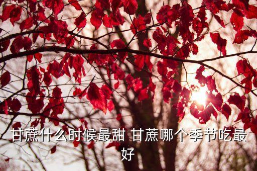 甘蔗季节，什么季节有甘蔗