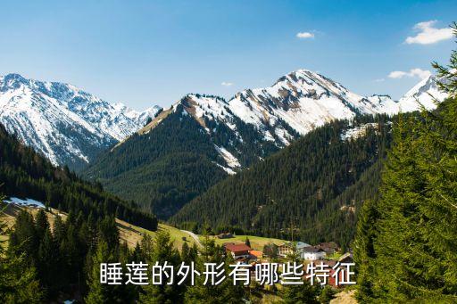 睡莲的外形有哪些特征