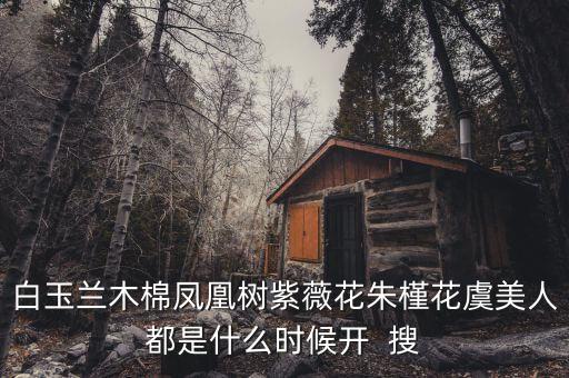 白玉兰木棉凤凰树紫薇花朱槿花虞美人都是什么时候开  搜