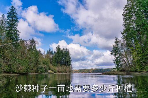 沙棘种子一亩地需要多少斤种植