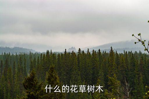 什么的花草树木