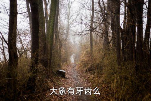 大象都有象牙吗，大象有牙齿么