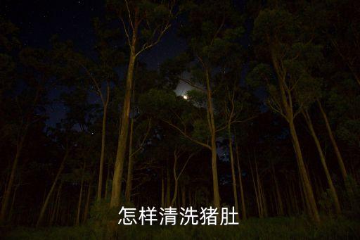 怎样清洗猪肚