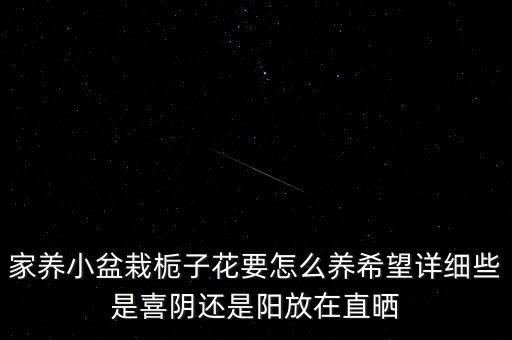 家养小盆栽栀子花要怎么养希望详细些是喜阴还是阳放在直晒