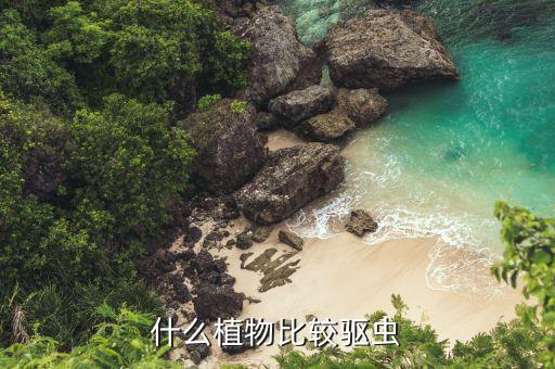驱虫植物，什么植物比较驱虫