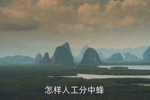 怎样人工分中蜂