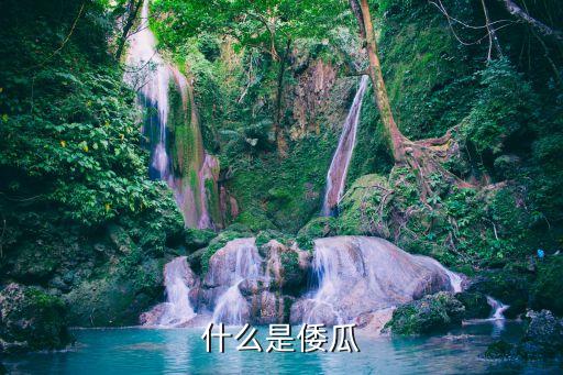 倭瓜，倭瓜到底是什么瓜