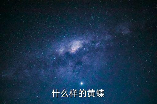 什么样的黄蝶
