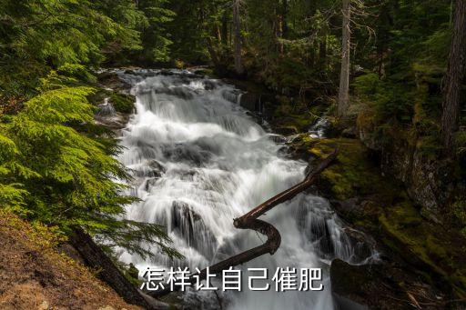 怎样让自己催肥