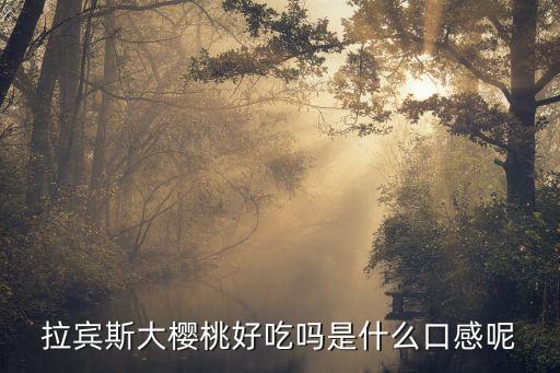 拉宾斯大樱桃，烟台拉宾斯樱桃多少一斤