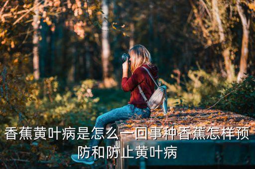 香蕉黄叶病是怎么一回事种香蕉怎样预防和防止黄叶病